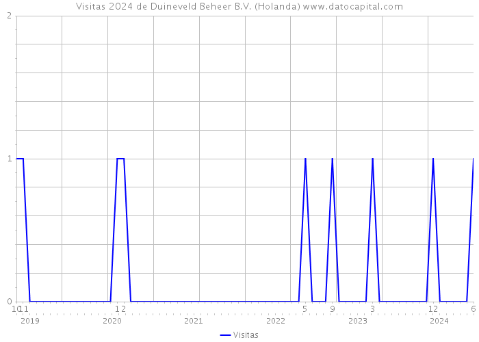 Visitas 2024 de Duineveld Beheer B.V. (Holanda) 