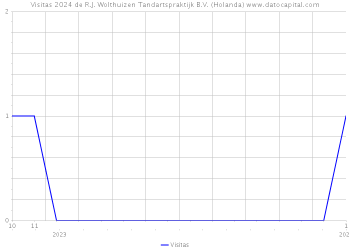 Visitas 2024 de R.J. Wolthuizen Tandartspraktijk B.V. (Holanda) 