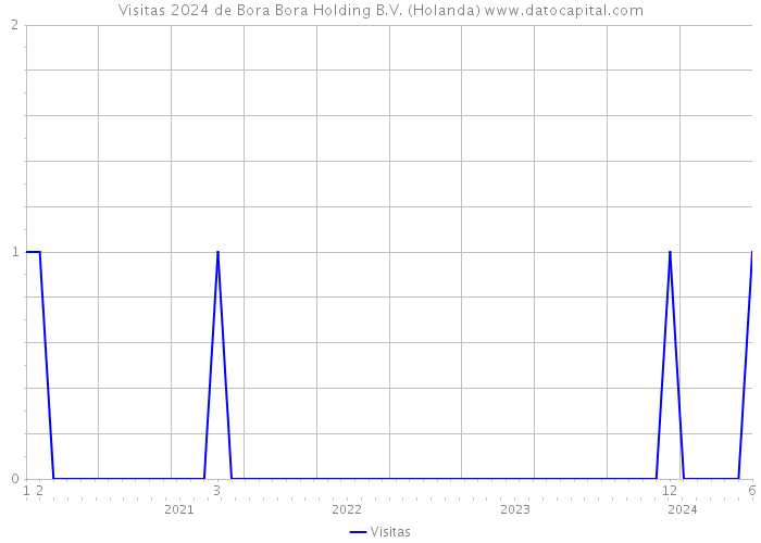 Visitas 2024 de Bora Bora Holding B.V. (Holanda) 