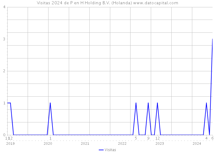 Visitas 2024 de P en H Holding B.V. (Holanda) 