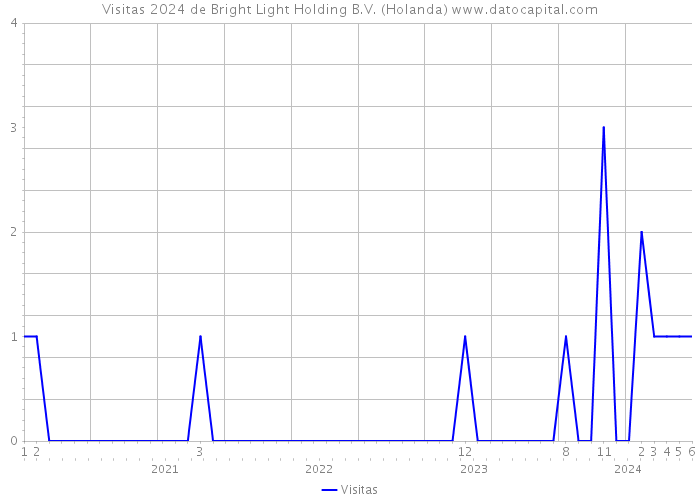 Visitas 2024 de Bright Light Holding B.V. (Holanda) 