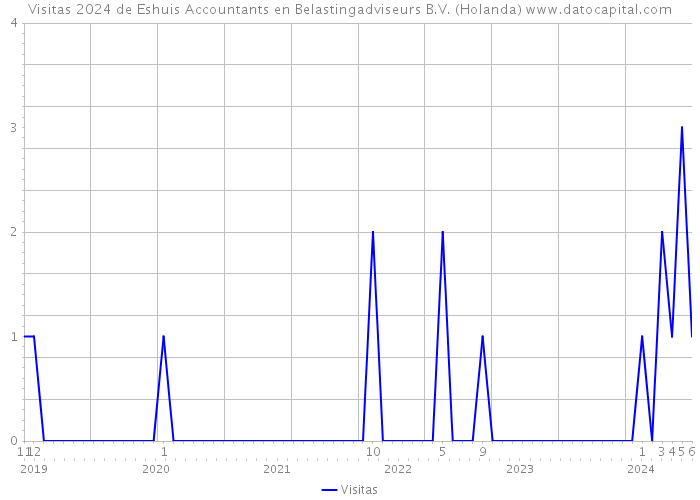 Visitas 2024 de Eshuis Accountants en Belastingadviseurs B.V. (Holanda) 