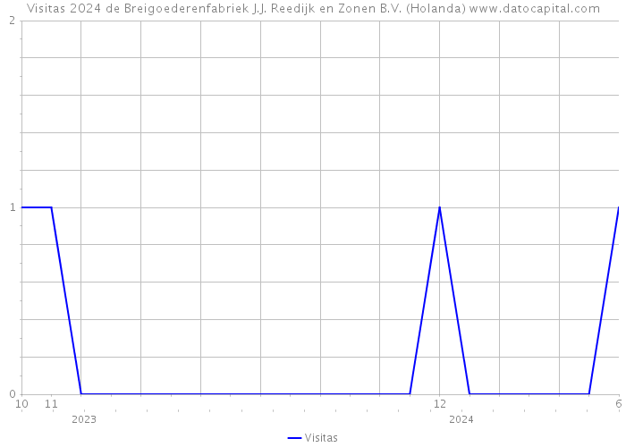 Visitas 2024 de Breigoederenfabriek J.J. Reedijk en Zonen B.V. (Holanda) 