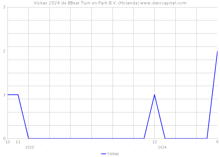 Visitas 2024 de BBeat Tuin en Park B.V. (Holanda) 