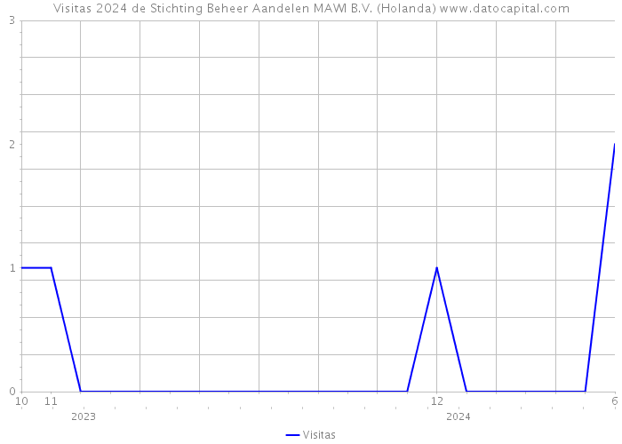 Visitas 2024 de Stichting Beheer Aandelen MAWI B.V. (Holanda) 