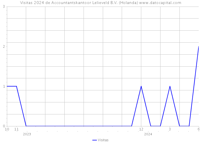 Visitas 2024 de Accountantskantoor Lelieveld B.V. (Holanda) 