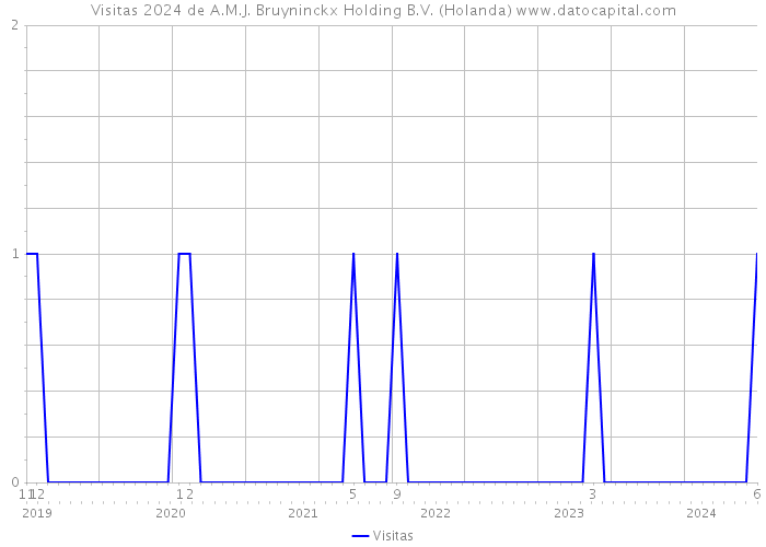 Visitas 2024 de A.M.J. Bruyninckx Holding B.V. (Holanda) 