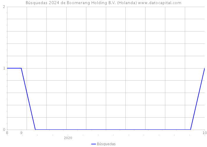 Búsquedas 2024 de Boomerang Holding B.V. (Holanda) 