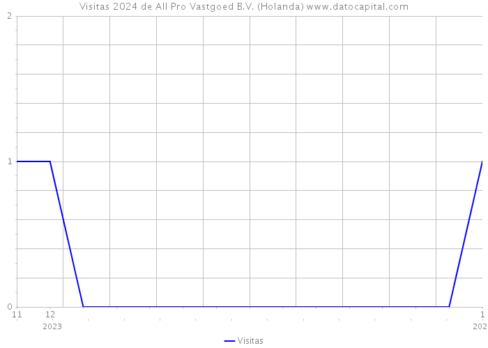 Visitas 2024 de All Pro Vastgoed B.V. (Holanda) 