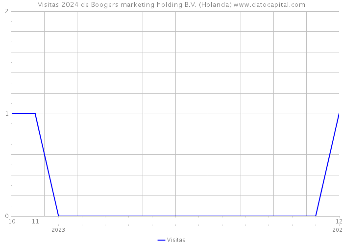 Visitas 2024 de Boogers marketing holding B.V. (Holanda) 