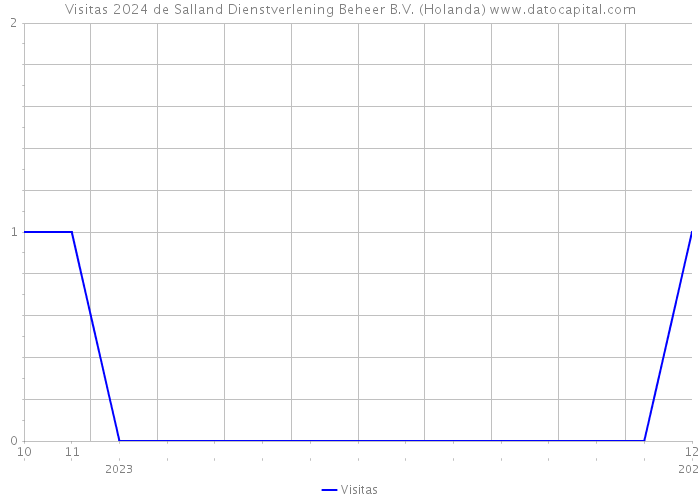 Visitas 2024 de Salland Dienstverlening Beheer B.V. (Holanda) 