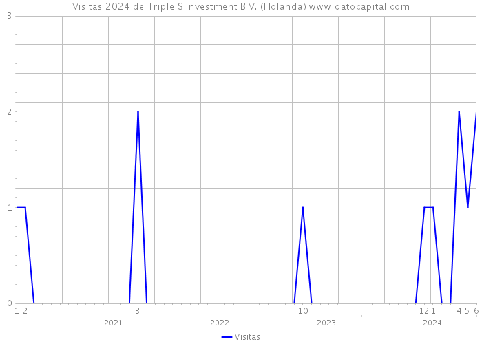 Visitas 2024 de Triple S Investment B.V. (Holanda) 