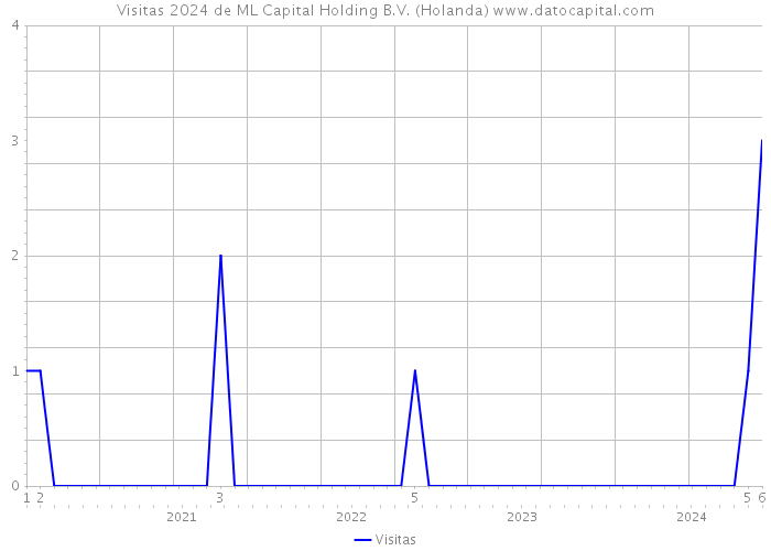 Visitas 2024 de ML Capital Holding B.V. (Holanda) 