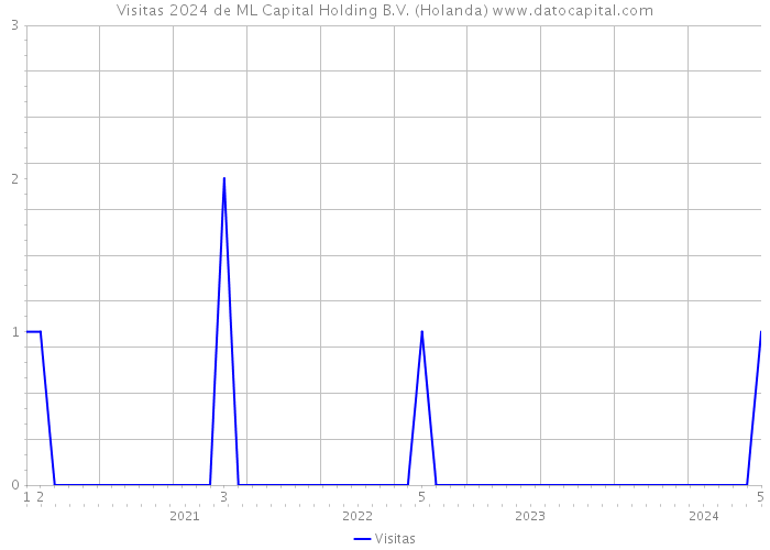 Visitas 2024 de ML Capital Holding B.V. (Holanda) 