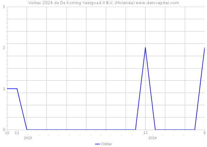 Visitas 2024 de De Koning Vastgoed II B.V. (Holanda) 