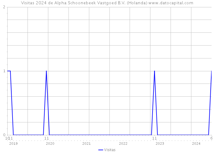 Visitas 2024 de Alpha Schoonebeek Vastgoed B.V. (Holanda) 