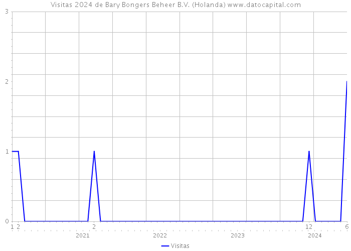 Visitas 2024 de Bary Bongers Beheer B.V. (Holanda) 