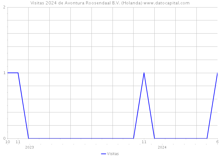 Visitas 2024 de Avontura Roosendaal B.V. (Holanda) 