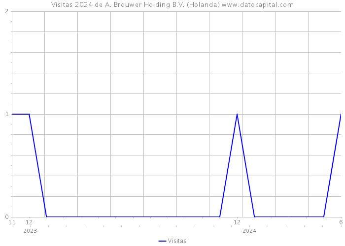 Visitas 2024 de A. Brouwer Holding B.V. (Holanda) 