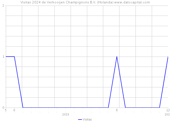 Visitas 2024 de Verkooijen Champignons B.V. (Holanda) 
