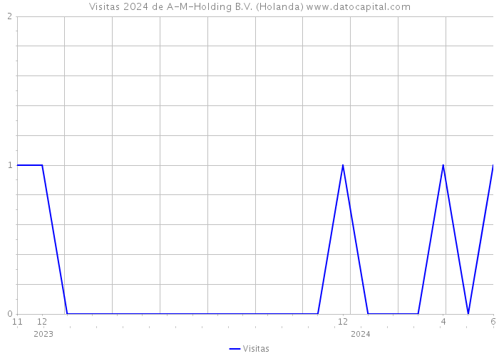 Visitas 2024 de A-M-Holding B.V. (Holanda) 