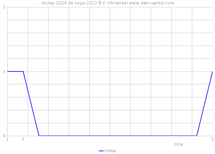 Visitas 2024 de Vega 2022 B.V. (Holanda) 