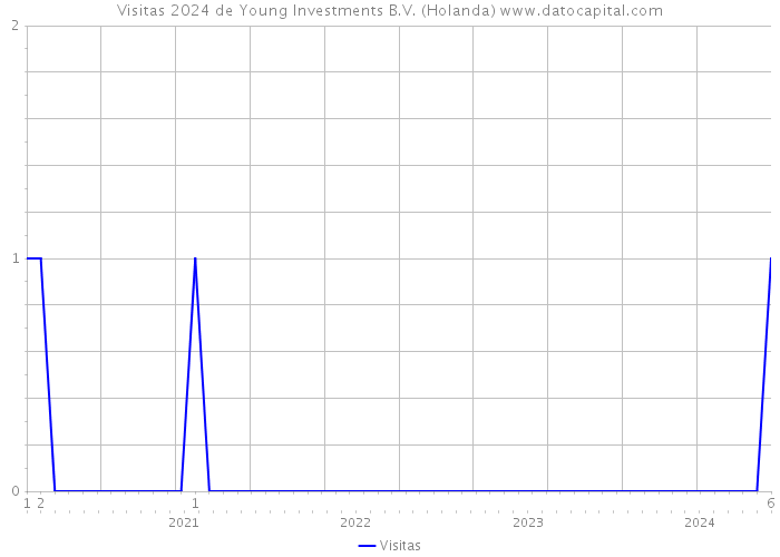 Visitas 2024 de Young Investments B.V. (Holanda) 