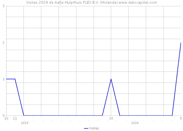 Visitas 2024 de Aafje Hulpthuis FLEX B.V. (Holanda) 