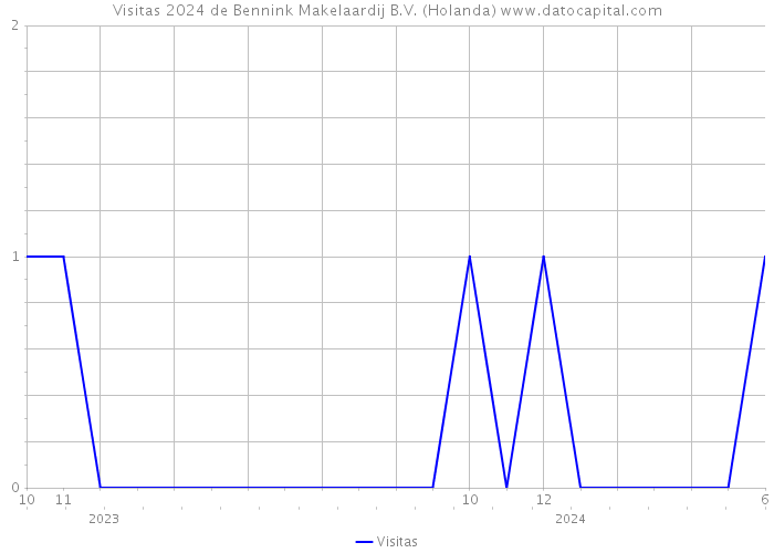 Visitas 2024 de Bennink Makelaardij B.V. (Holanda) 