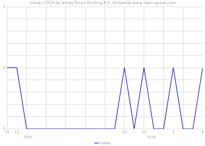 Visitas 2024 de Jemey Tinus Holding B.V. (Holanda) 