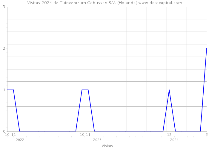 Visitas 2024 de Tuincentrum Cobussen B.V. (Holanda) 