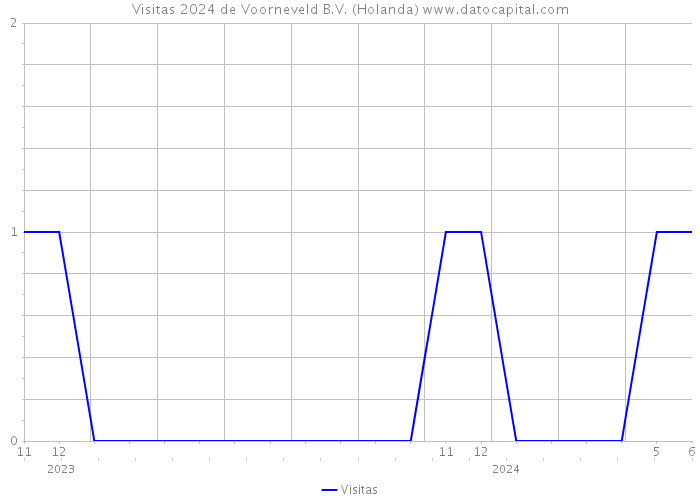 Visitas 2024 de Voorneveld B.V. (Holanda) 