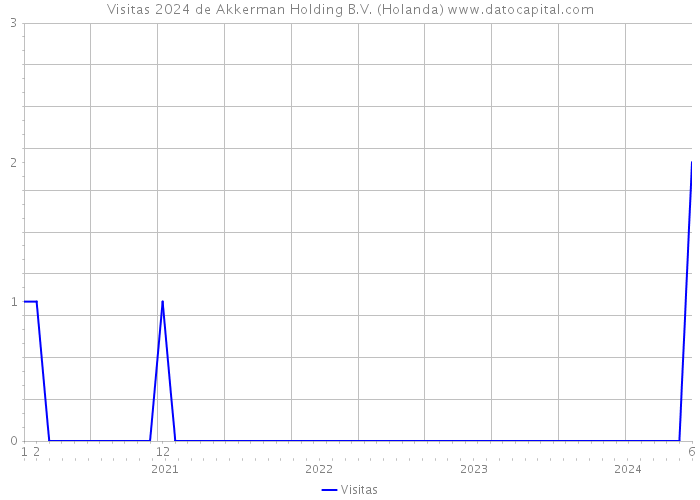 Visitas 2024 de Akkerman Holding B.V. (Holanda) 