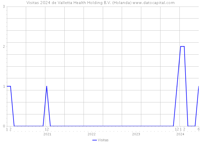 Visitas 2024 de Valletta Health Holding B.V. (Holanda) 