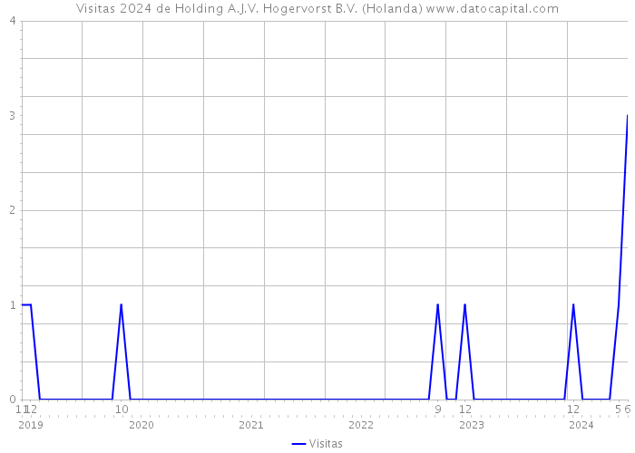 Visitas 2024 de Holding A.J.V. Hogervorst B.V. (Holanda) 