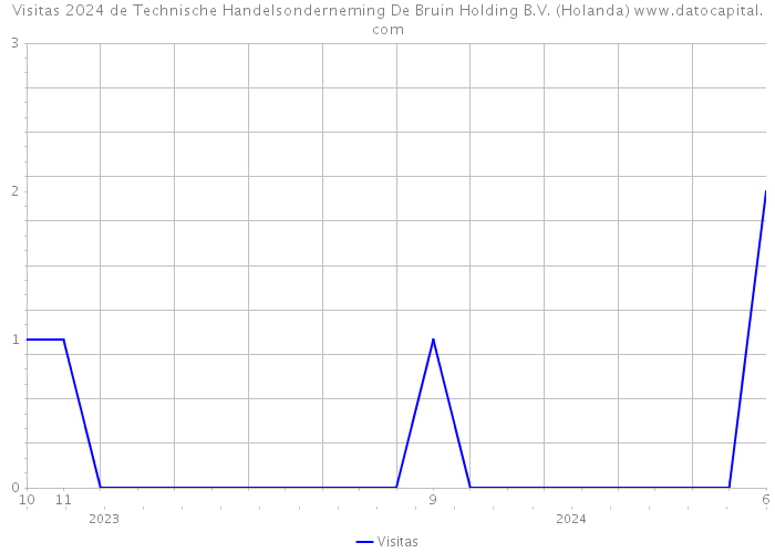 Visitas 2024 de Technische Handelsonderneming De Bruin Holding B.V. (Holanda) 