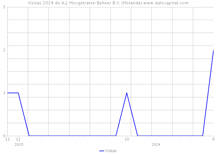 Visitas 2024 de A.J. Hoogstraten Beheer B.V. (Holanda) 