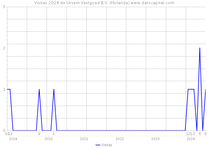 Visitas 2024 de Ursem Vastgoed B.V. (Holanda) 