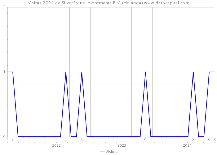 Visitas 2024 de SilverStone Investments B.V. (Holanda) 