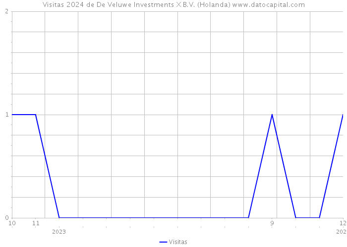 Visitas 2024 de De Veluwe Investments X B.V. (Holanda) 