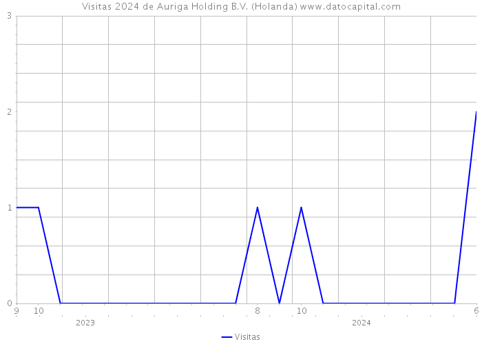 Visitas 2024 de Auriga Holding B.V. (Holanda) 