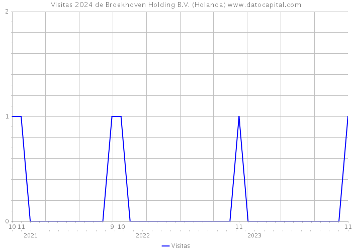 Visitas 2024 de Broekhoven Holding B.V. (Holanda) 