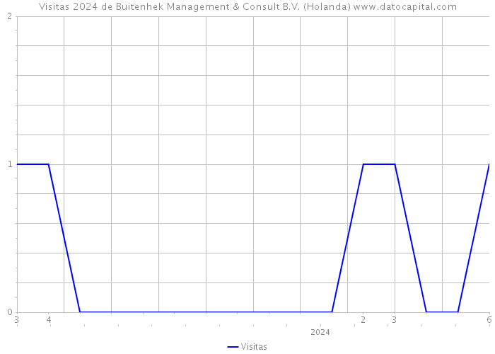 Visitas 2024 de Buitenhek Management & Consult B.V. (Holanda) 