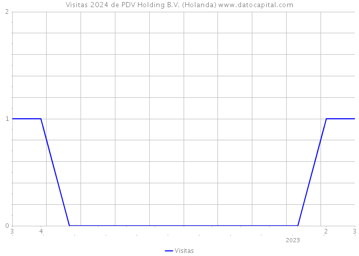 Visitas 2024 de PDV Holding B.V. (Holanda) 