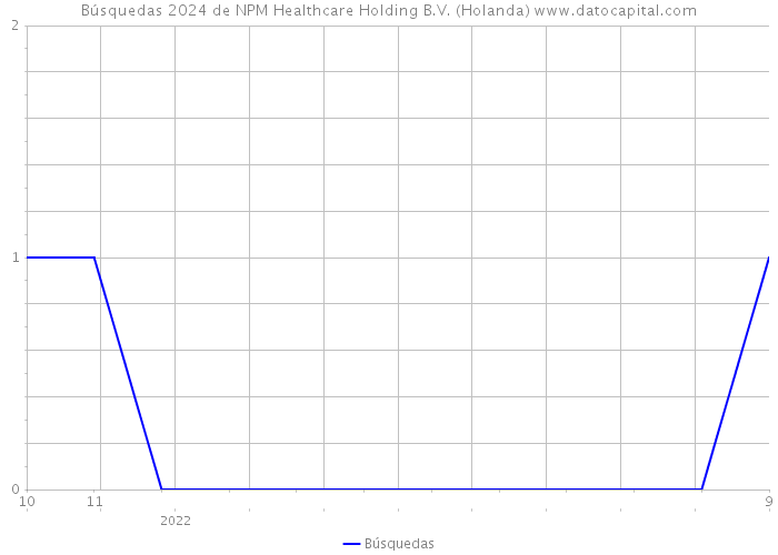 Búsquedas 2024 de NPM Healthcare Holding B.V. (Holanda) 