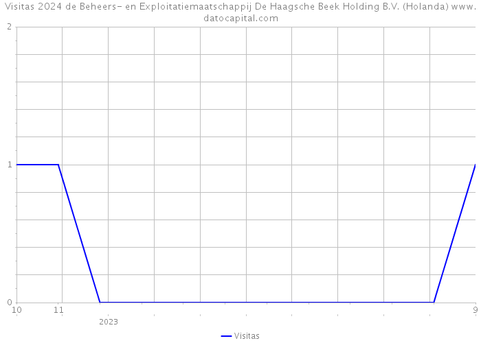 Visitas 2024 de Beheers- en Exploitatiemaatschappij De Haagsche Beek Holding B.V. (Holanda) 