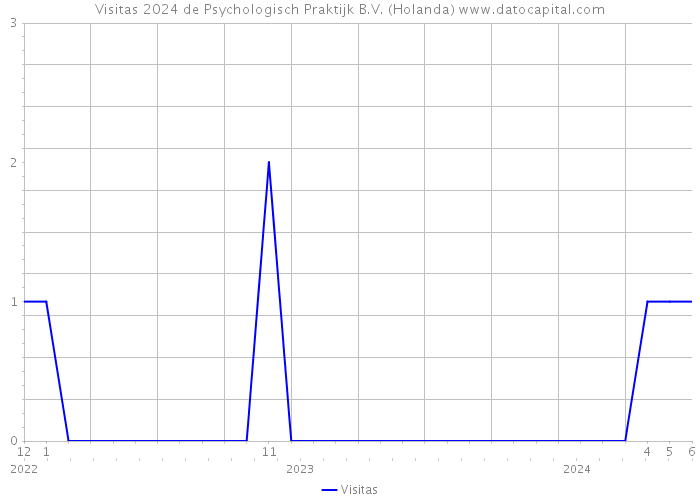 Visitas 2024 de Psychologisch Praktijk B.V. (Holanda) 