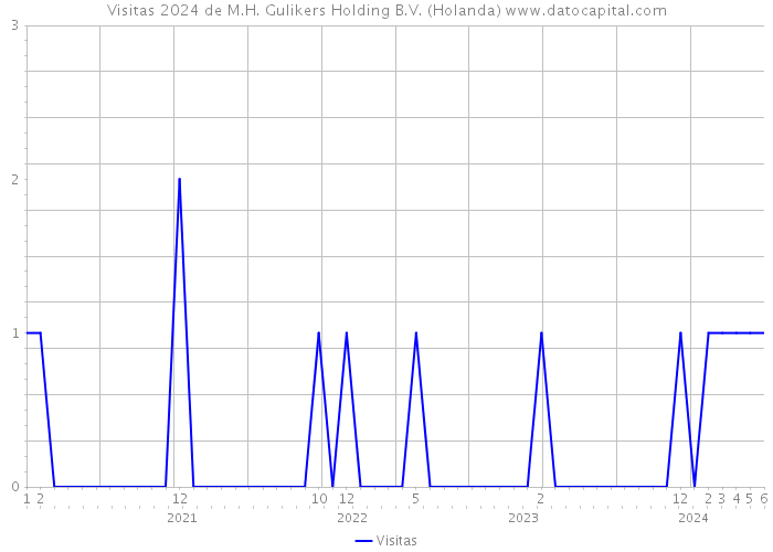 Visitas 2024 de M.H. Gulikers Holding B.V. (Holanda) 