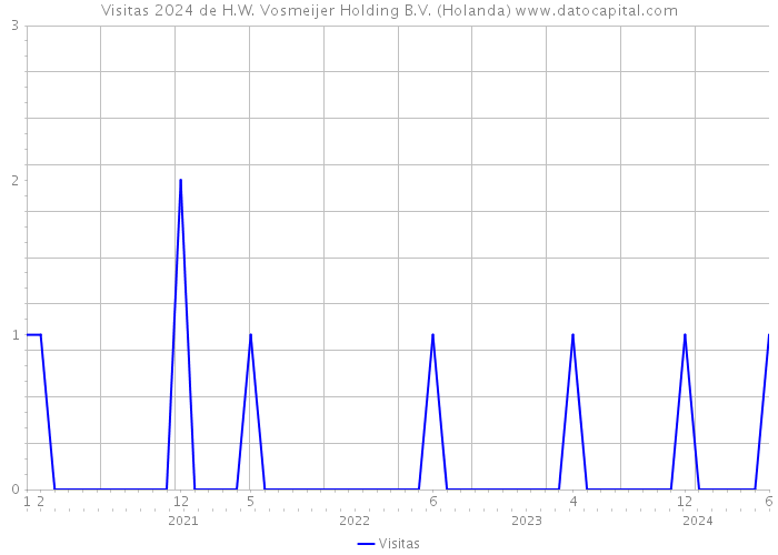 Visitas 2024 de H.W. Vosmeijer Holding B.V. (Holanda) 