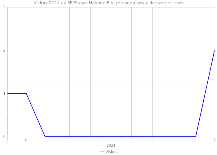 Visitas 2024 de SE Biogas Holding B.V. (Holanda) 